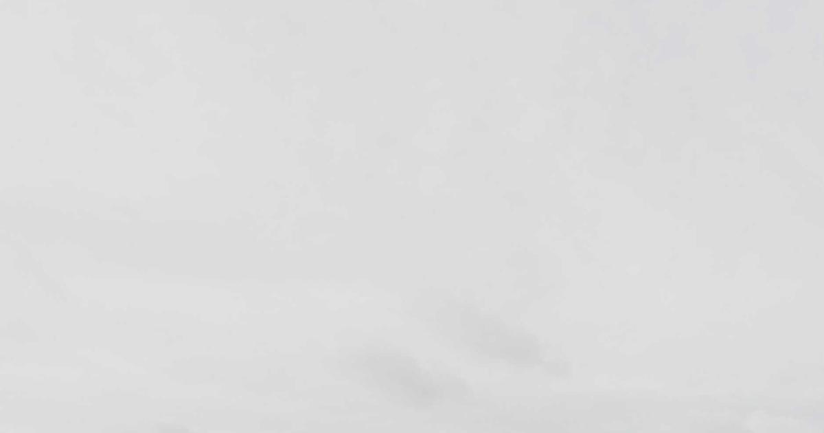 A Guide to Dynamic Routes