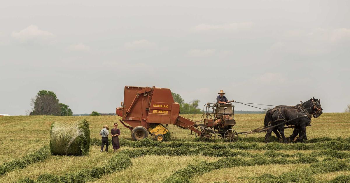 Benchmarking Container Orchestration