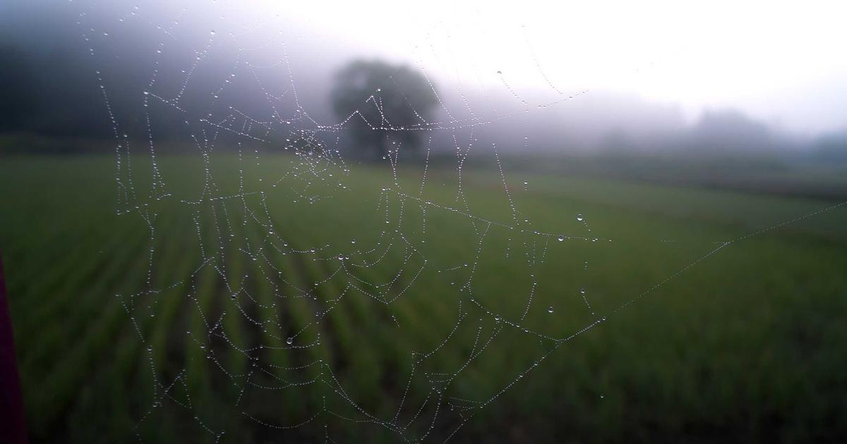 Essential Edge Functions