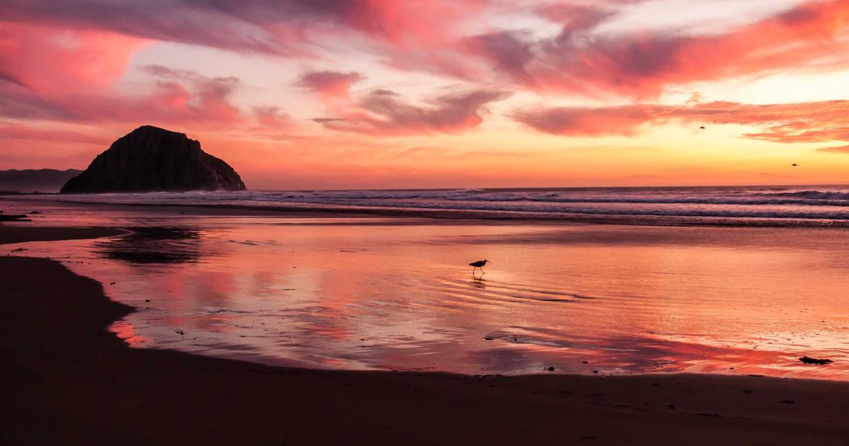 A Guide to Static Assets