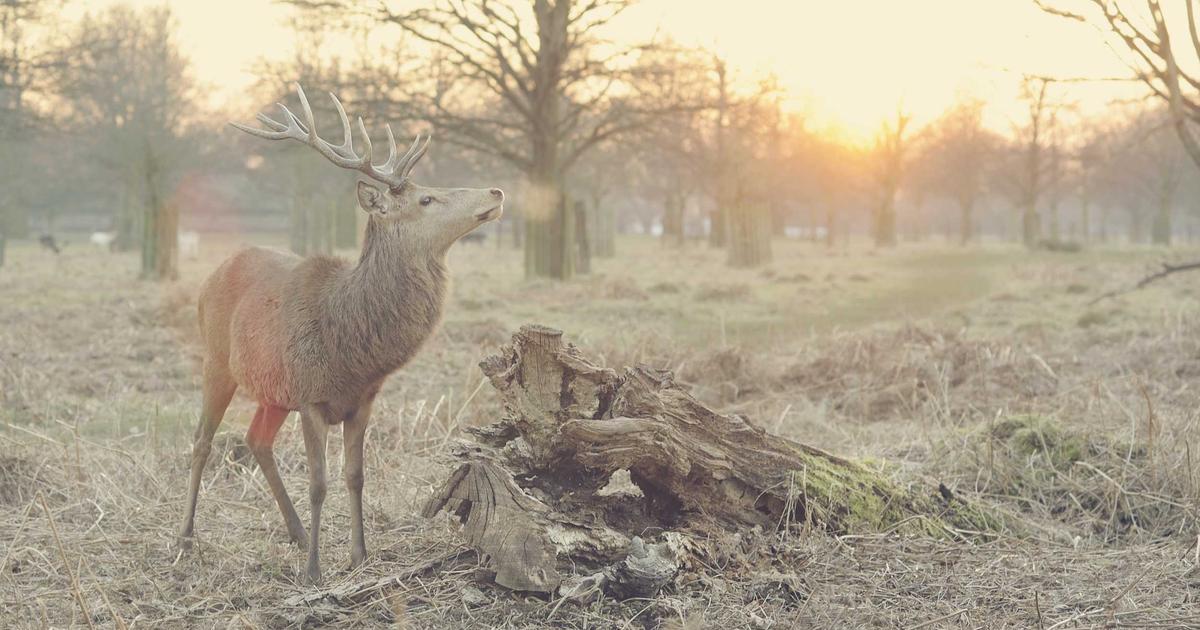 Understanding Edge Functions