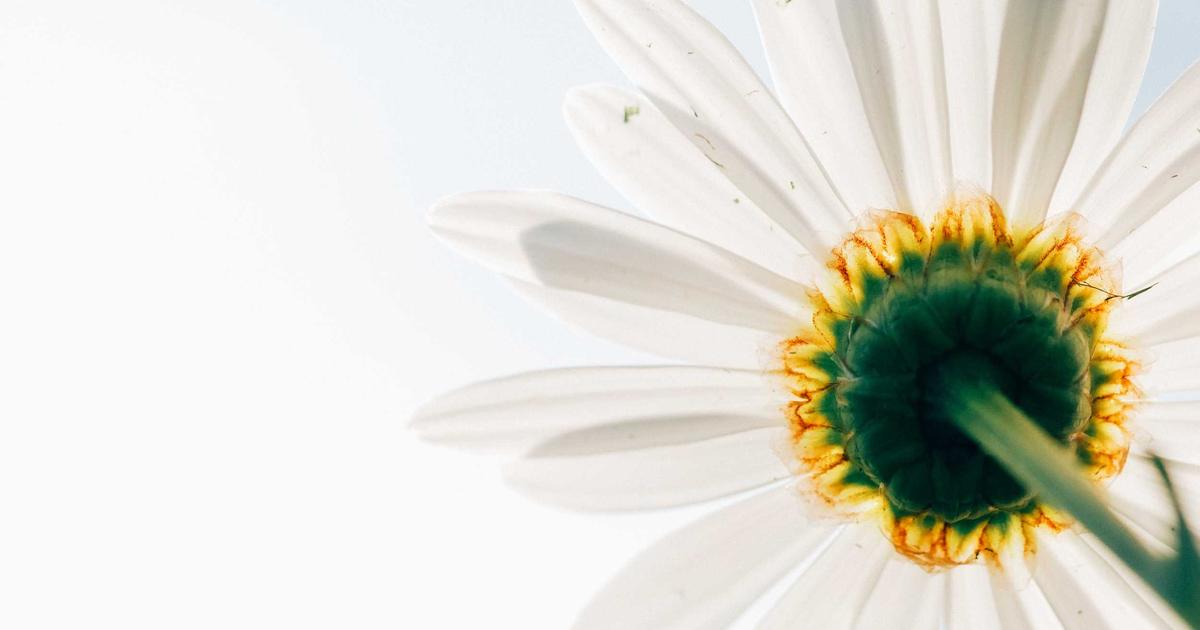 Exploring State Management