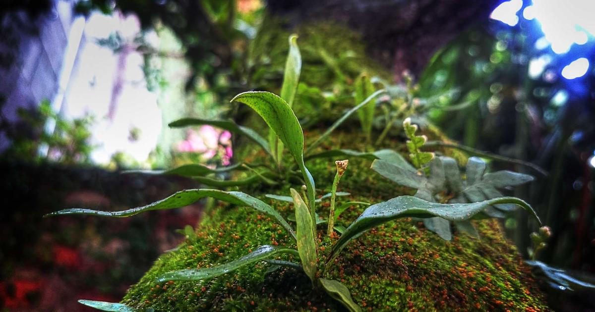 Advanced Error Handling