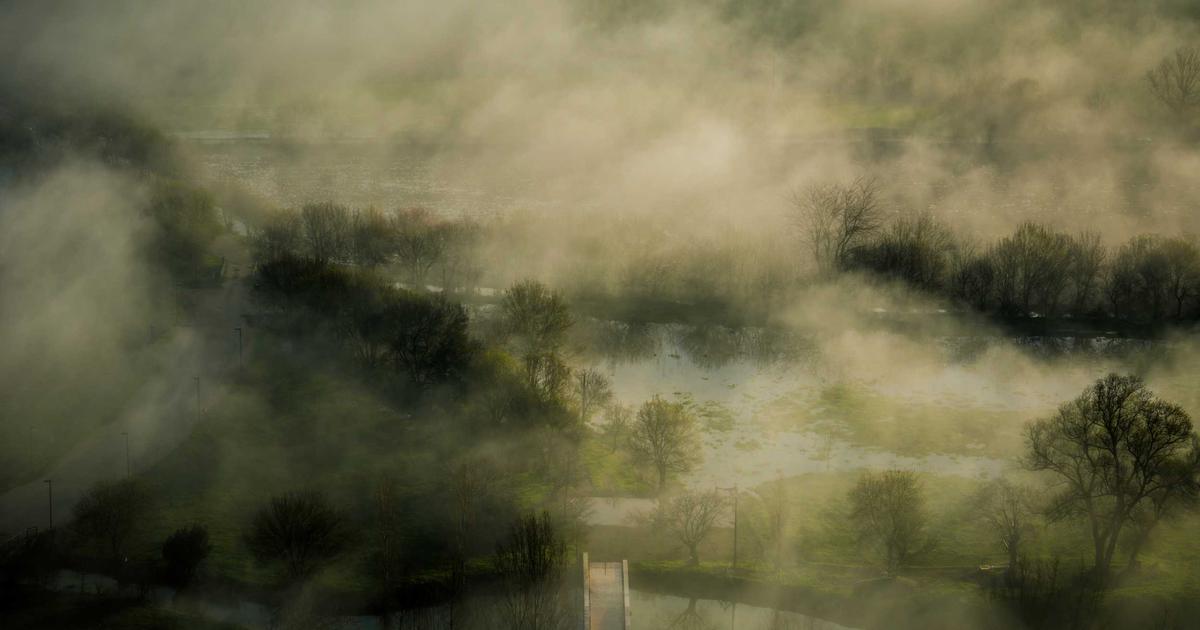 Monitoring Type Safety