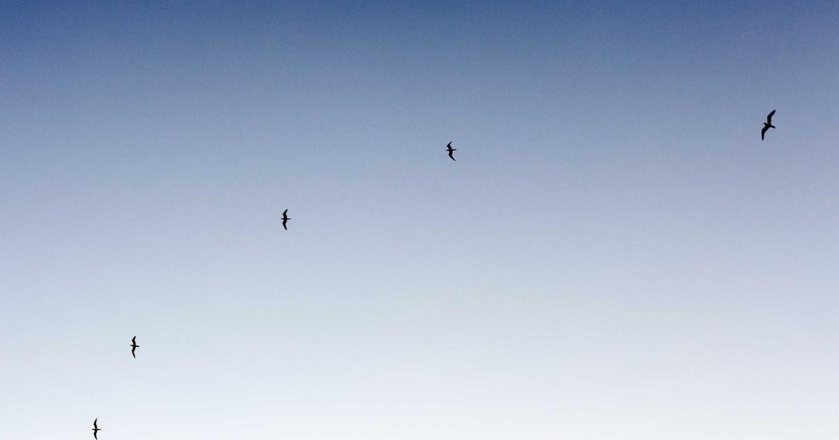 Exploring Database Queries