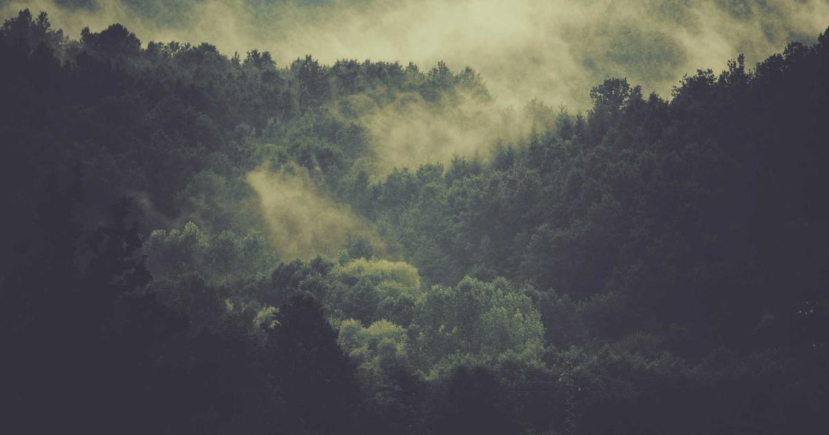 Deep Dive into Static Assets