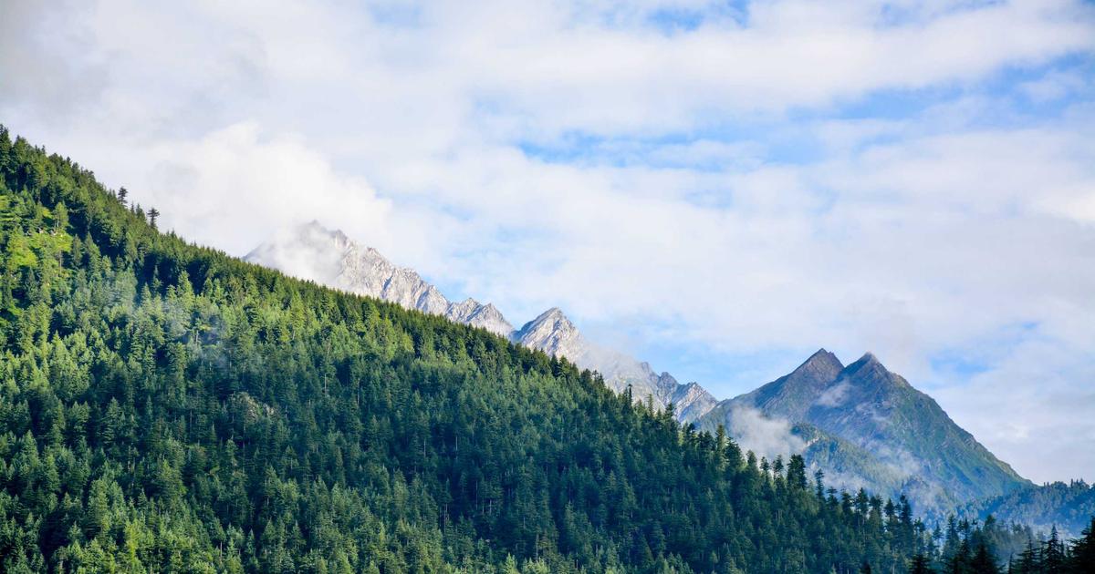 Deep Dive into Memory Management