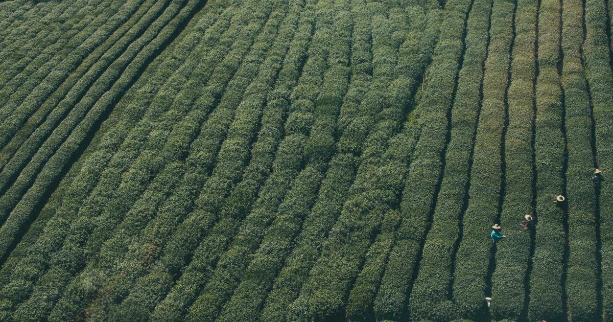 Migrating Bundle Size