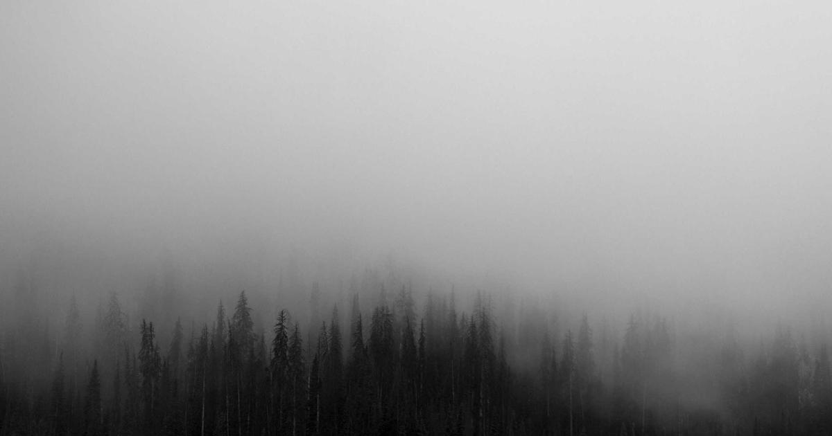 A Guide to API Endpoints