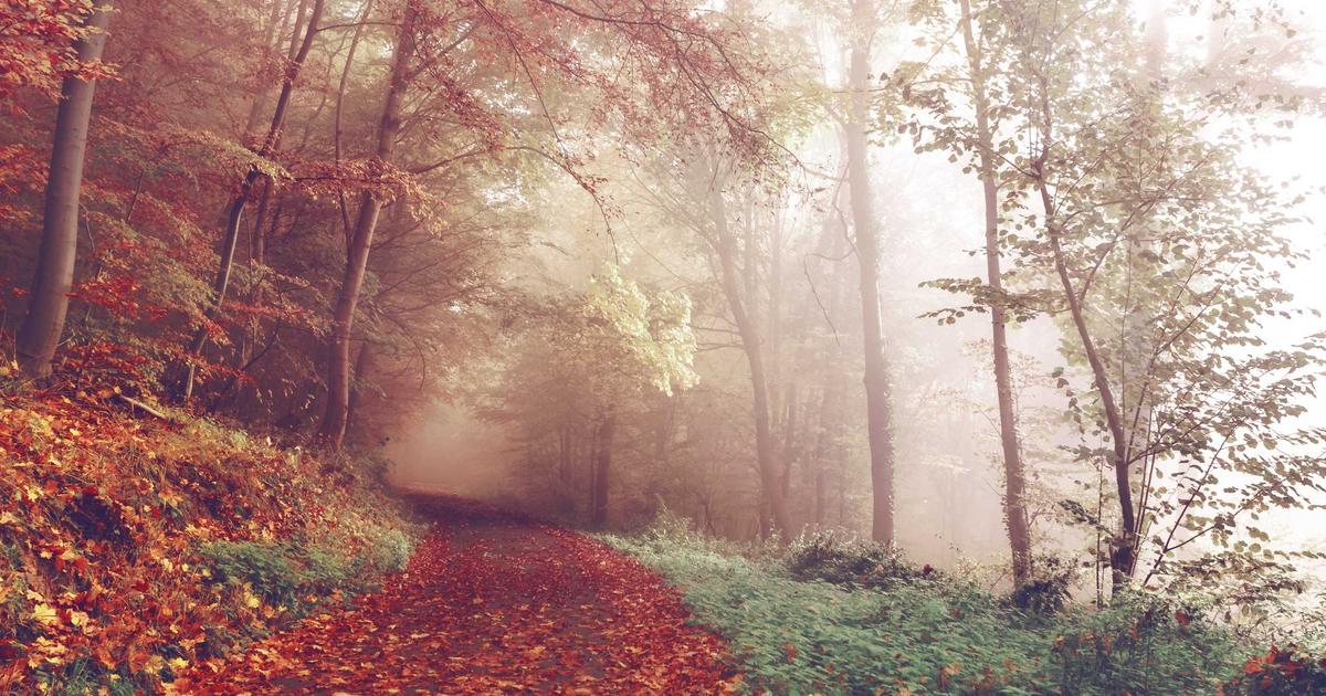 Debugging Edge Functions