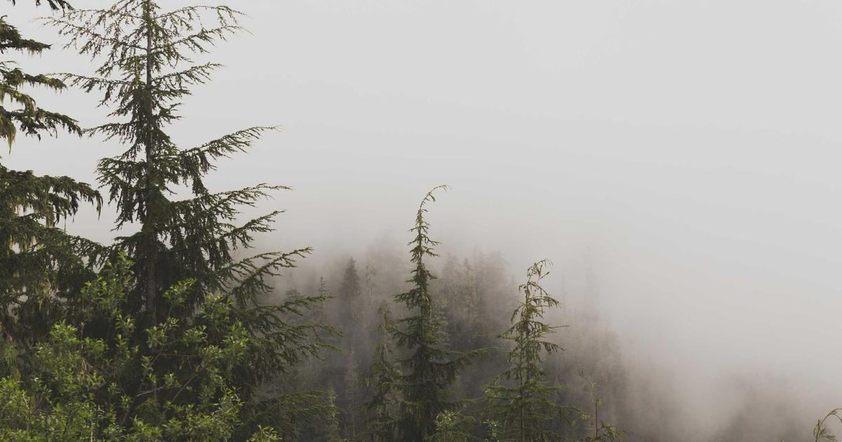 Exploring Database Queries