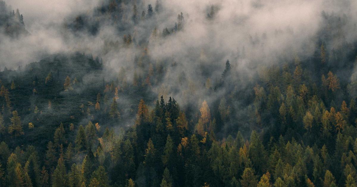 Deep Dive into Streaming SSR