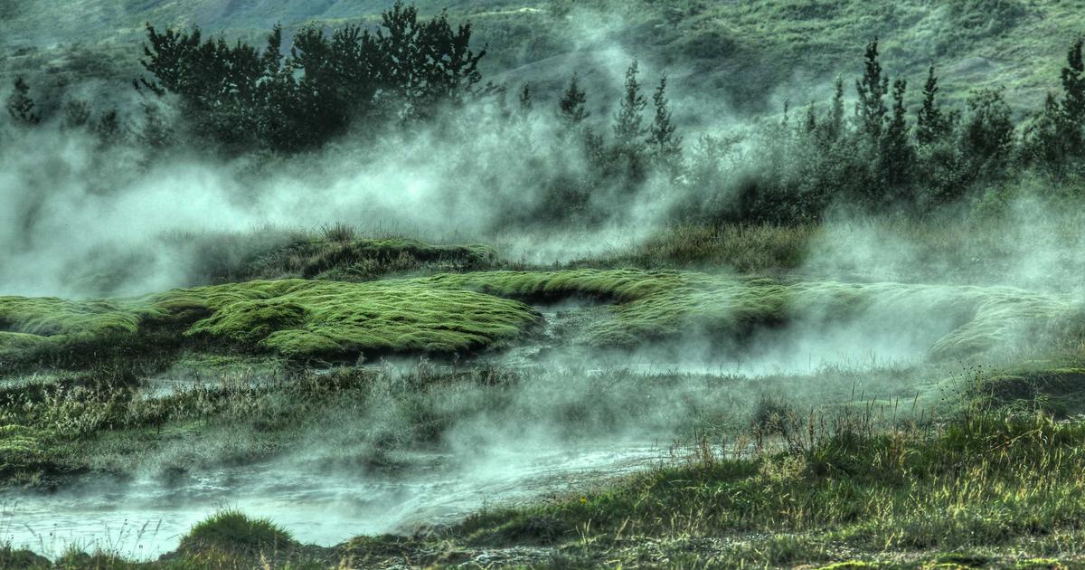 Benchmarking Type Safety