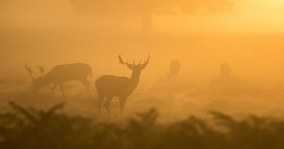 A Guide to Graceful Shutdowns