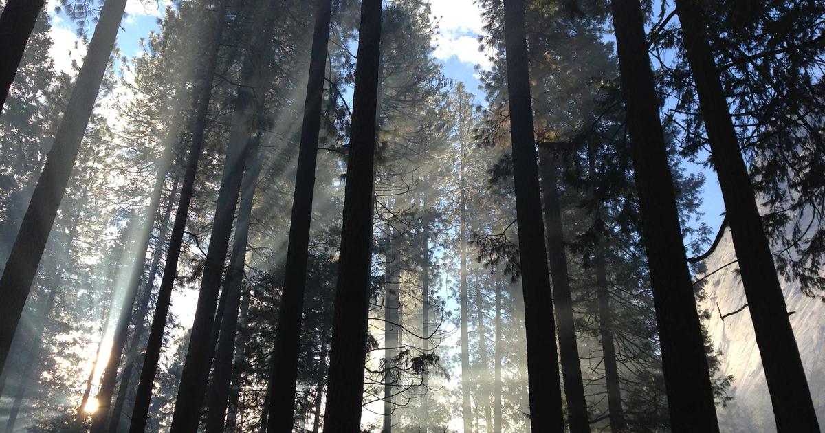 Understanding Rate Limiting