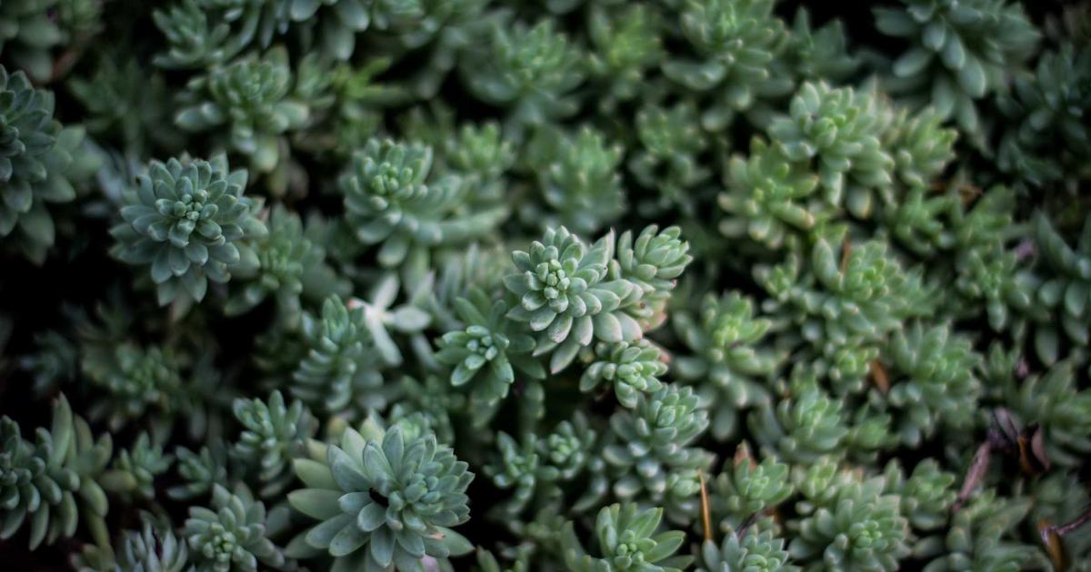 A Guide to Error Handling