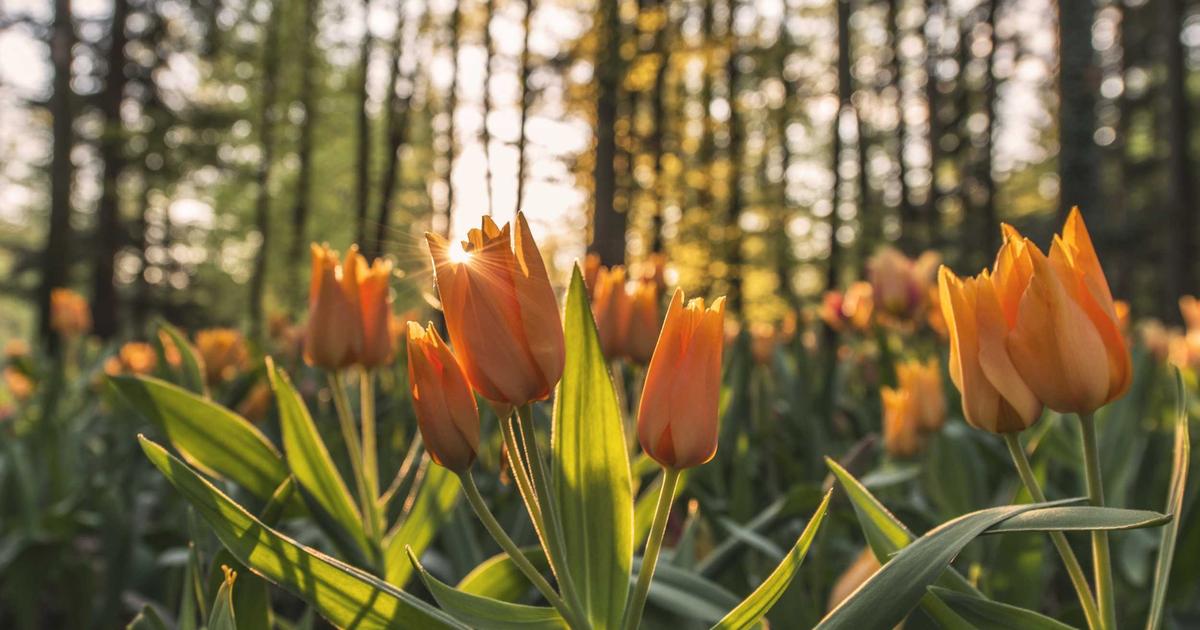 Building Cache Strategies