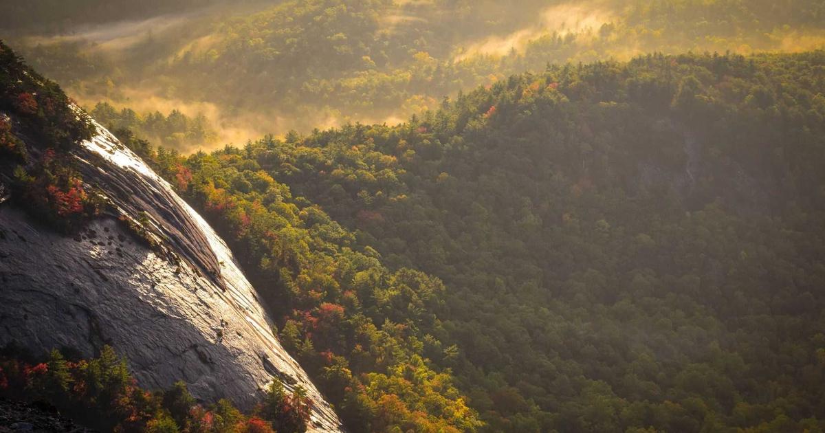 Scaling Memory Management