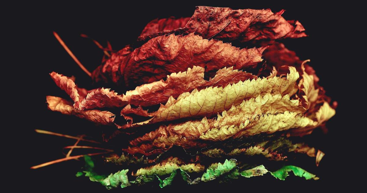 A Guide to Image Optimization